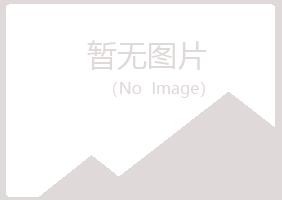 河南冰夏建设有限公司